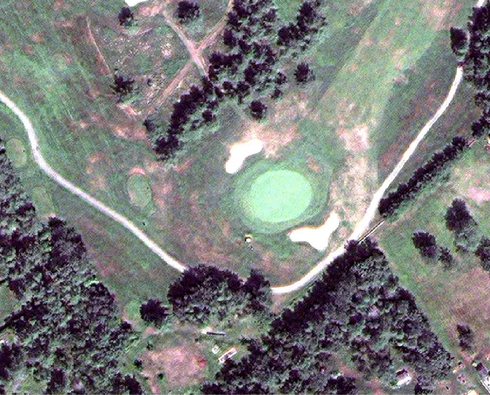 Figure 3 : Exemple de cartographie de la canopée dans la ville de Québec à partir d'une image WorldView-3. Haut: image WorldView-3; bas: canopée identifiée en vert.