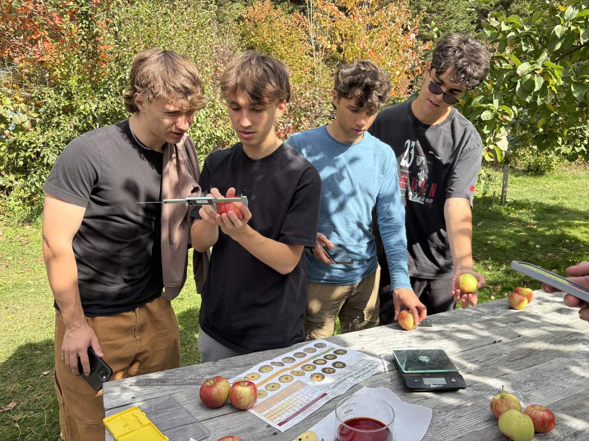 Des pommes, des données et de l’apprentissage machine !
